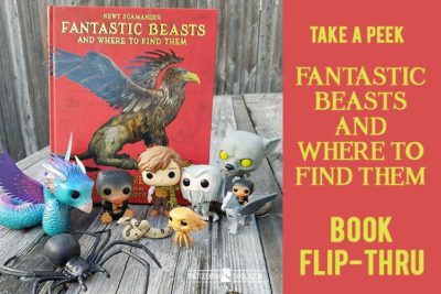 Fantastic Beasts and Where to Find them book reveal | Harry Potter | Newt Scamander