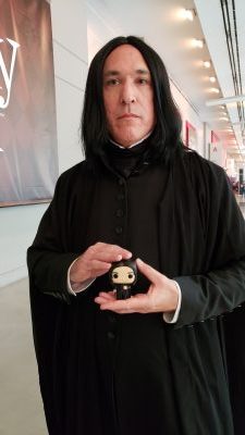 LeakyCon 2018 - Harry Potter Fandom convention